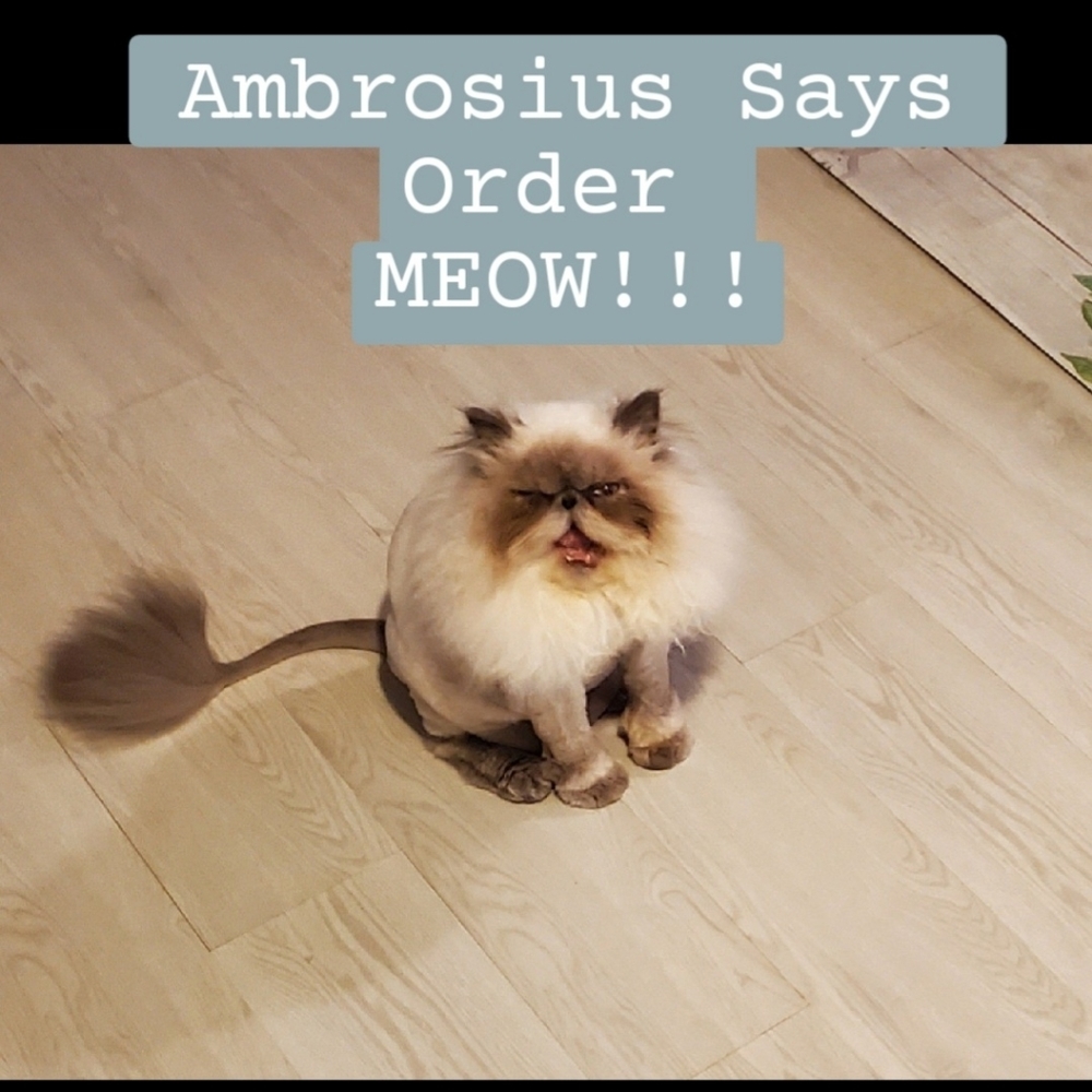 Ambrosius Says